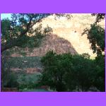 View From Porch.jpg